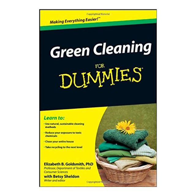Green Cleaning For Dummies by Elizabeth B. Goldsmith and Betsy Sheldon