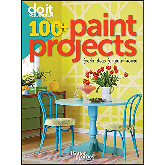 Do It Yourself: 100+ Paint Projects