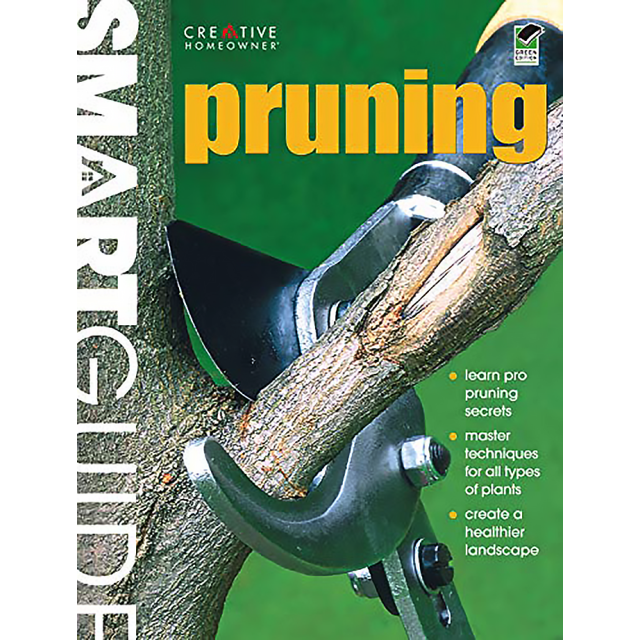 Smart Guide: Pruning