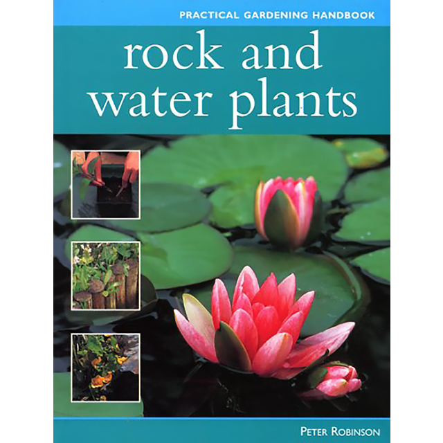 Rock and Water Plants
