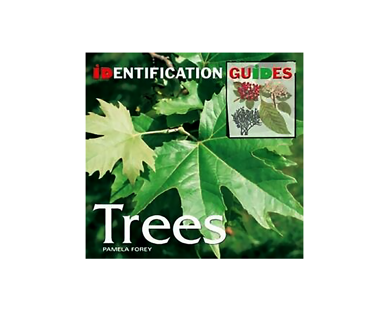 Trees (Revised) ( Identification Guides ) Builder's Book, Inc.Bookstore