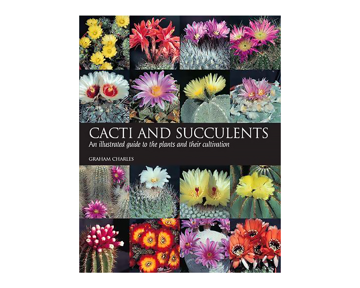 Cacti and Succulents An Illustrated Guide to the Plants and their