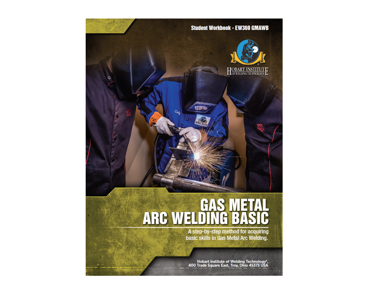 Buy Gas Metal Arc Welding Basic