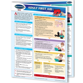 Buy Adult First Aid Chart - First Aid, CPR and Choking Quick Reference ...