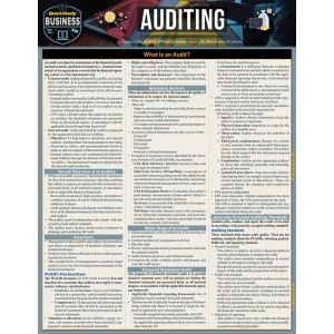 Auditing Quickstudy Business 